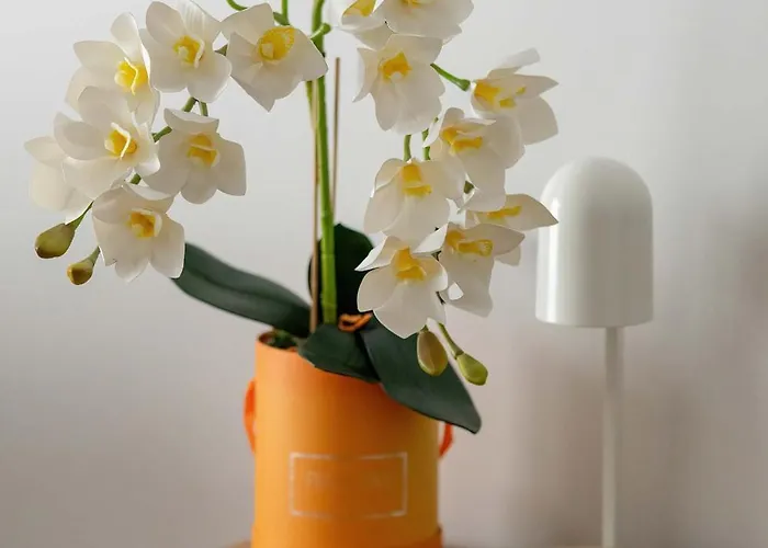 Modern With Parking & Balcony Remote Work Malta Area By Renters Prestige Apartment *